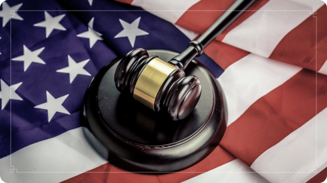 知识产权和品牌保护